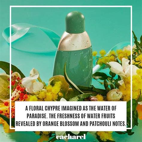 eden perfume superdrug